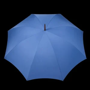 Fox Umbrellas Umbrellas | Azur Blue Light Whangee Handle Umbrella