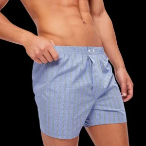 Derek Rose Underwear | Blue Checked Cotton Classic Fit Boxers