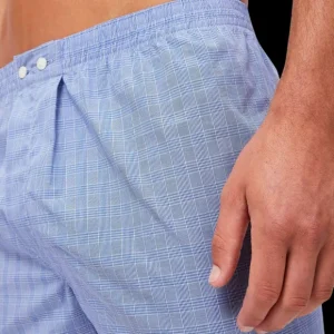 Derek Rose Underwear | Blue Checked Cotton Classic Fit Boxers