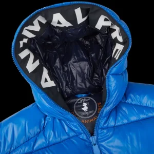 Save The Duck Outerwear | Blue Quilted Edgard Nylon Jacket