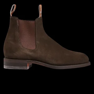 R.M. Williams Chelsea Boots | Chocolate Brown Suede Wentworth G Boots