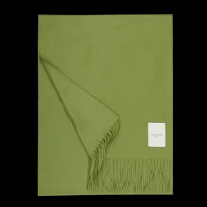 Piacenza Cashmere Scarves | Forest Green Cashmere Aeternum Scarf