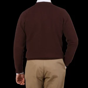 Alan Paine Knitwear | Raisin Brown Lambswool V-Neck