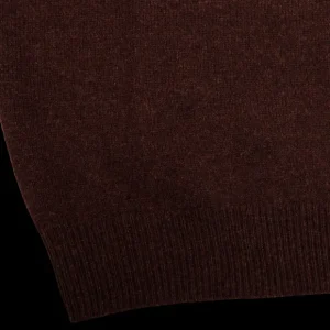 Alan Paine Knitwear | Raisin Brown Lambswool V-Neck