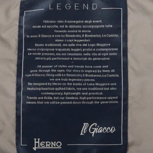 Herno Outerwear | Taupe Grey Legend Technical Down Jacket